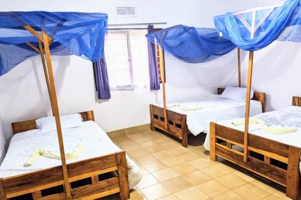 A room with three wooden bunk beds, each with a blue canopy.
