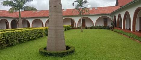 A courtyard with a palm tree, a well-maintained lawn, and a building with arched windows and a red roof.