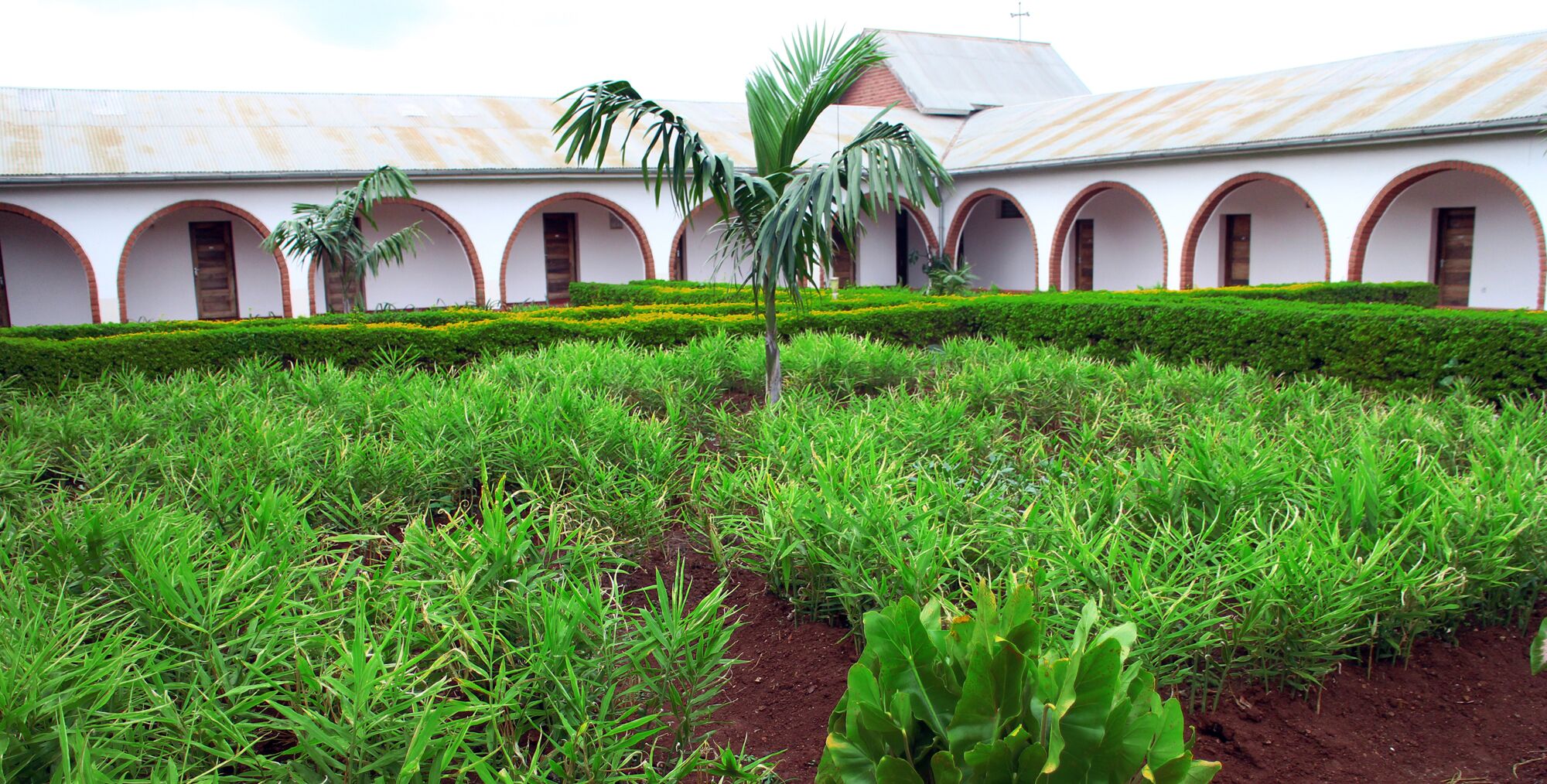 A building with a series of arched windows and a well-maintained garden with various plants and a palm tree.