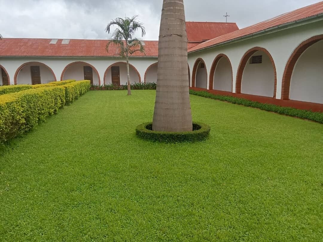 A courtyard with a palm tree, neatly trimmed hedges, and a row of arches.