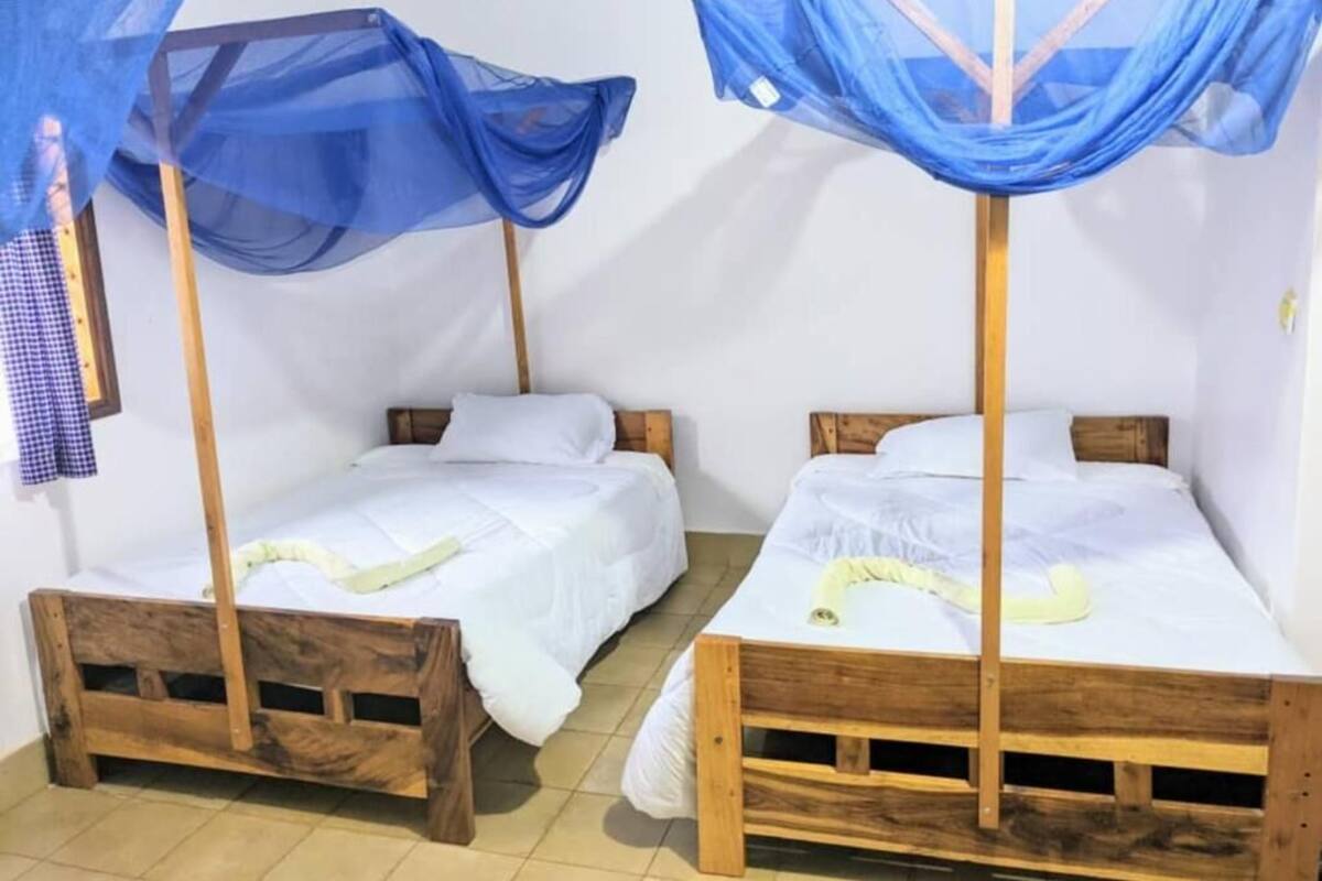 Standard Double or Twin Room | Hypo-allergenic bedding, pillowtop beds, desk, laptop workspace