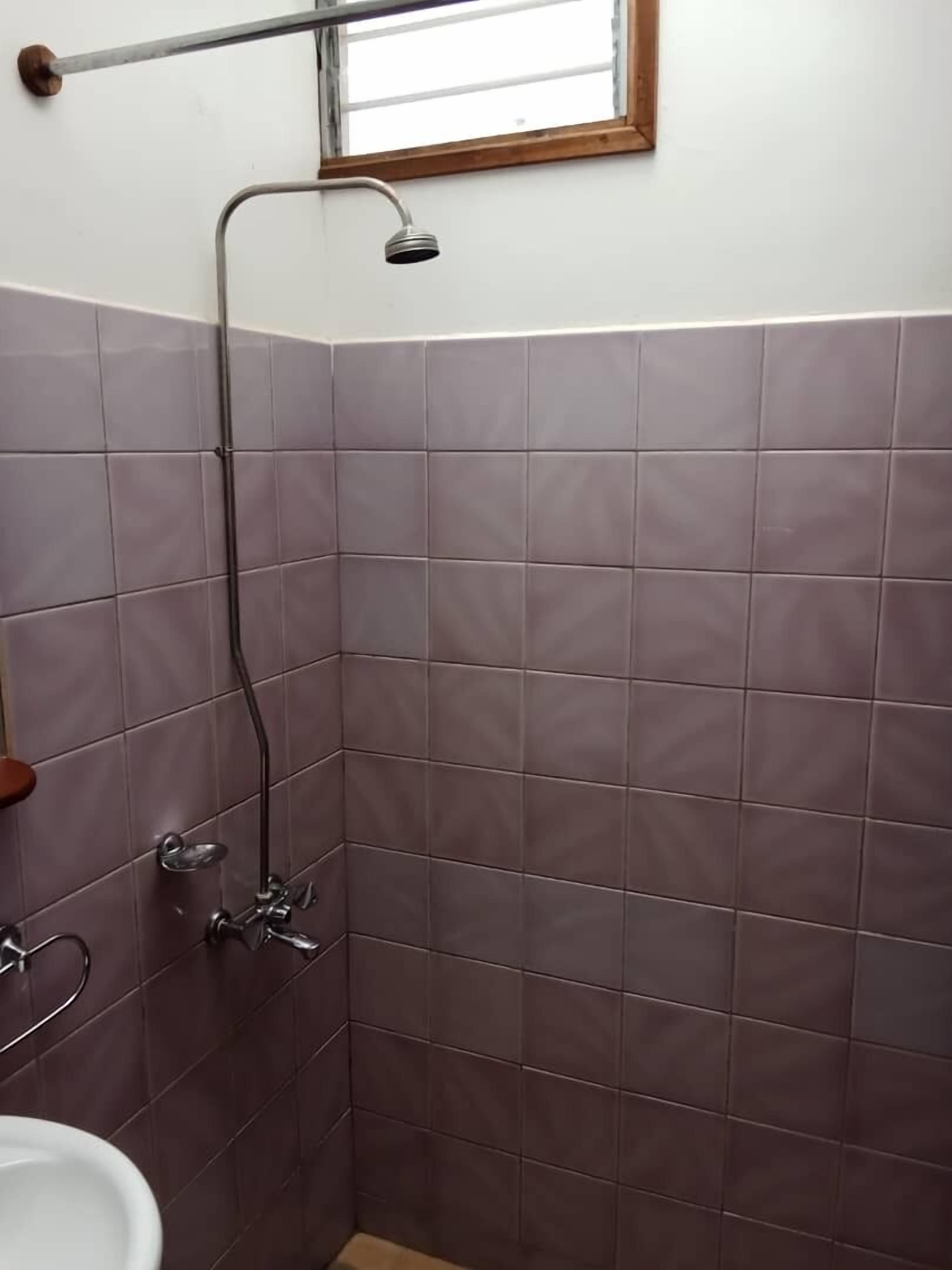 A bathroom with a shower, a window, and a toilet.