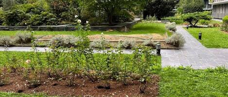 Un área de jardín ajardinada con un sendero, árboles y un edificio al fondo.