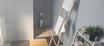 Maison en Centre-ville Avec Jardin Privatif