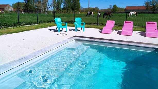 Una piscina con superficie de agua azul cristalina, rodeada por una terraza blanca. Hay cuatro sillas de descanso, dos turquesas y dos rosas, dispuestas alrededor de la piscina. Al fondo, se observa un área cercada con caballos pastando.