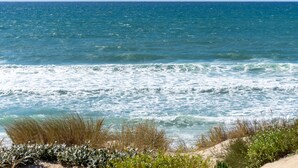 Una playa con olas y vegetación.