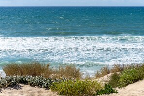 Beach - Dans un Cadre Exeptionnel Chalet LE Petit Nice À 2 pas du Lac 4 Ch. 8/9 Pers (Biscarrosse)