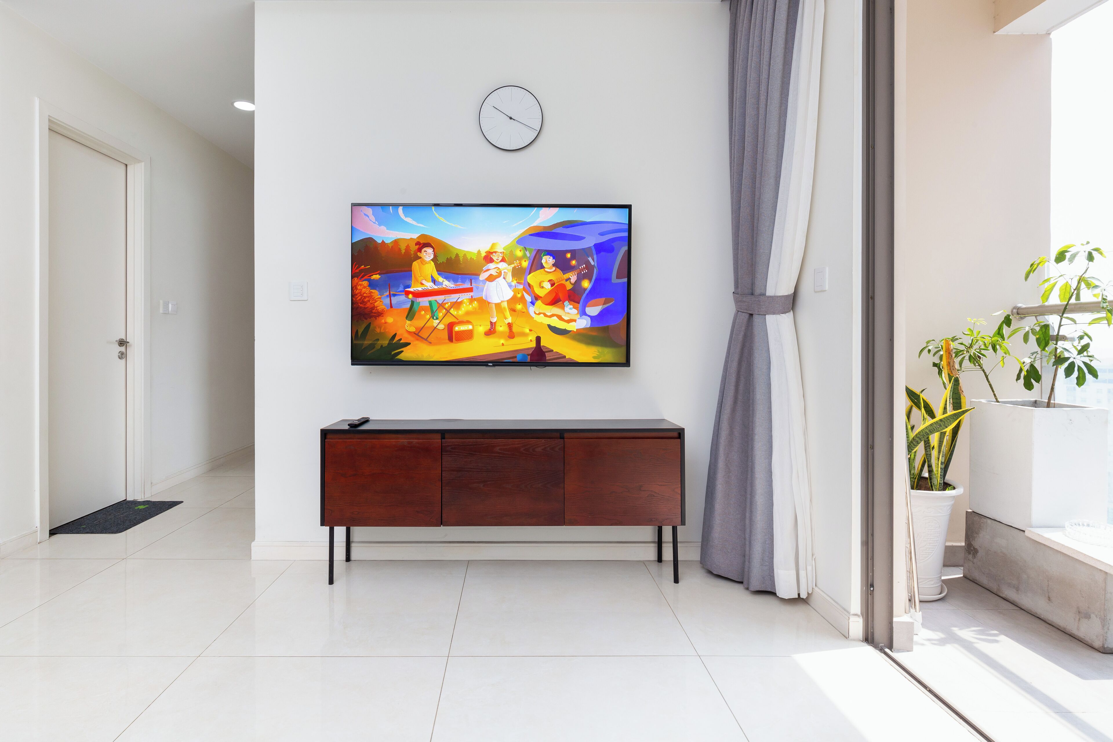 Television