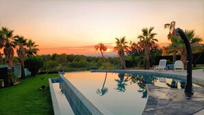 A swimming pool with a curved edge, surrounded by a grassy area and palm trees.