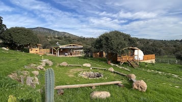 Vista al jardín