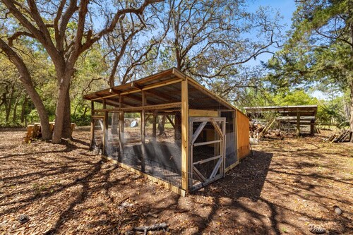 Three Cedars ~ Amongst the trees & stars