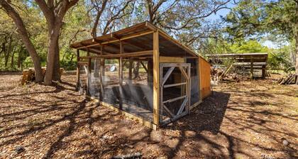 Three Cedars ~ Amongst the trees & stars