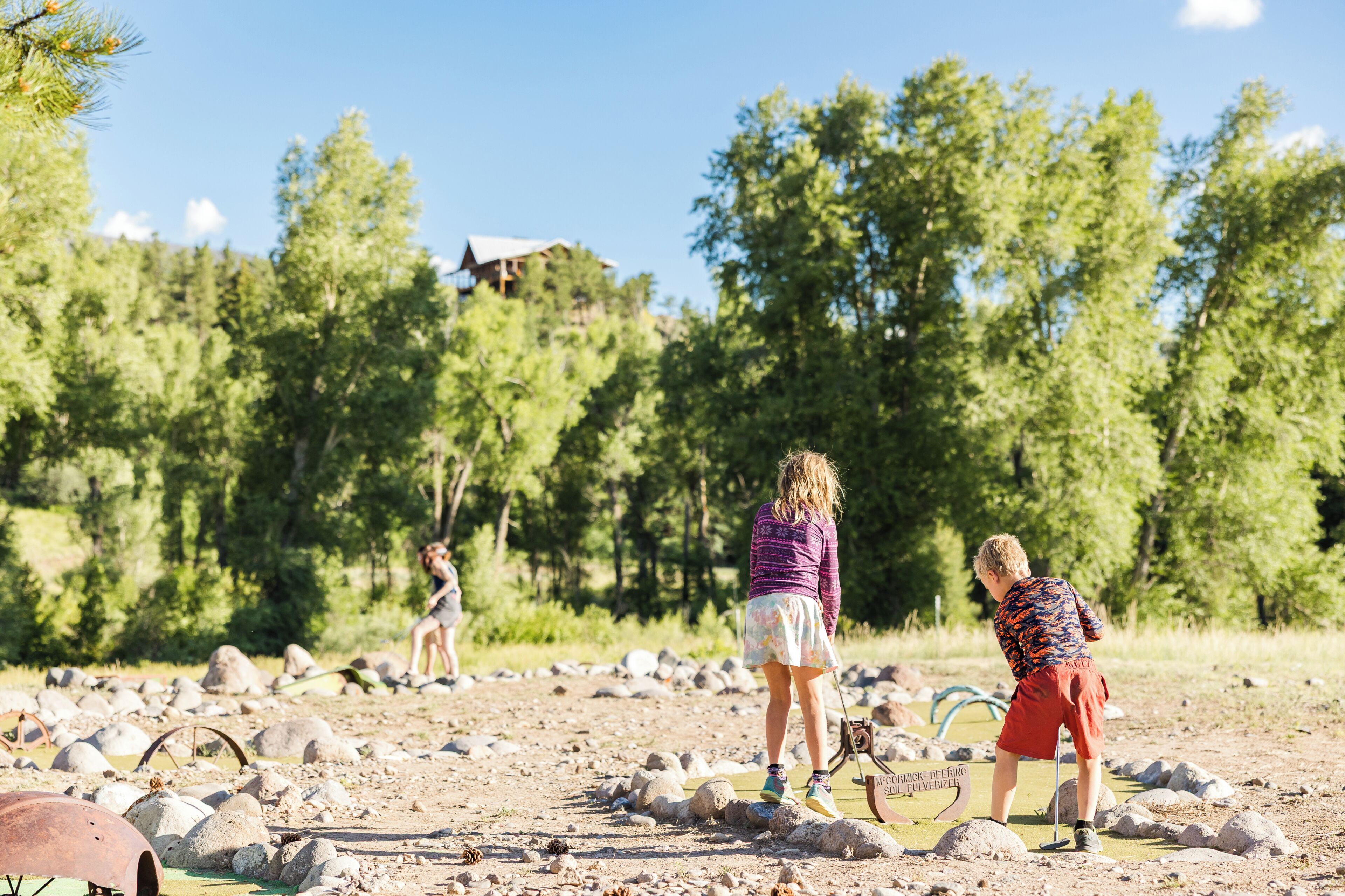 A natural outdoor setting with a dirt ground, scattered rocks, and trees in the background.