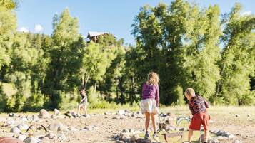 A natural outdoor setting with a dirt ground, scattered rocks, and trees in the background.