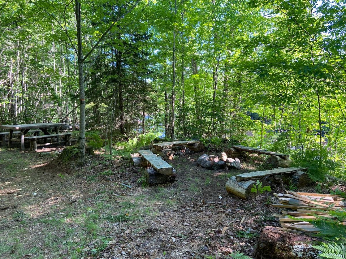 Cémping en un bosque con mesas de picnic y leña.
