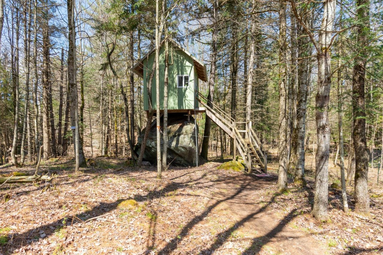 A treehouse cabin in a forest.