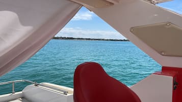 Vista dalla struttura