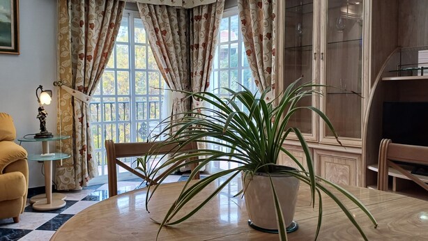 A living room with a sofa, a table with a potted plant, a television, and a window with curtains.
