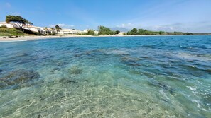 A coastal hotel with clear blue waters, sandy beach, and a view of the sea.
