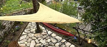 City Grove: Blooms and Beds by PikHost