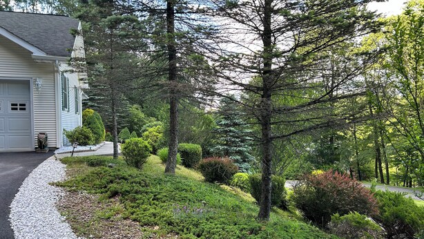 A residential driveway with a gravel border, surrounded by various shrubs and trees. - RENEWING LICENSE: TEMPORARILY NO VACANCY- DO NOT AUTO BOOK3 BR Rambler Home - (Honesdale)