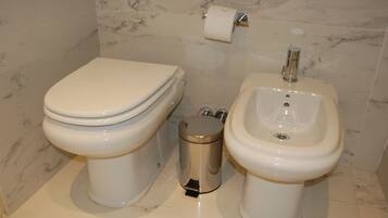 Shower, hair dryer, bidet, towels