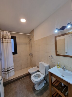 Bidet, towels, soap, toilet paper