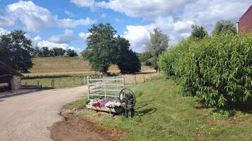 Terrein van de accommodatie