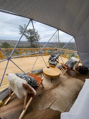 Terrace/patio - NEW RIVER VIEW Cliff Dome Glamping @ White River, minutes to fishing, hikes! (Cotter)