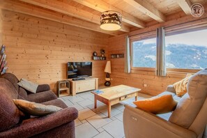 智能电视、DVD 播放器