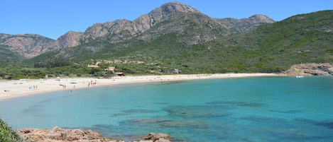 Pesca