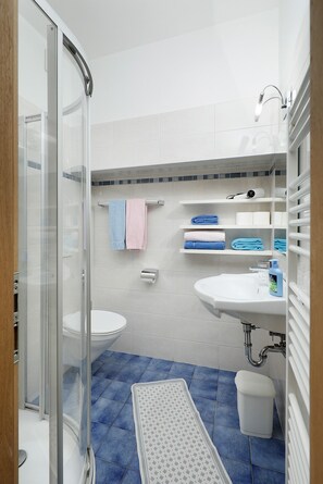 Shower, hair dryer, towels