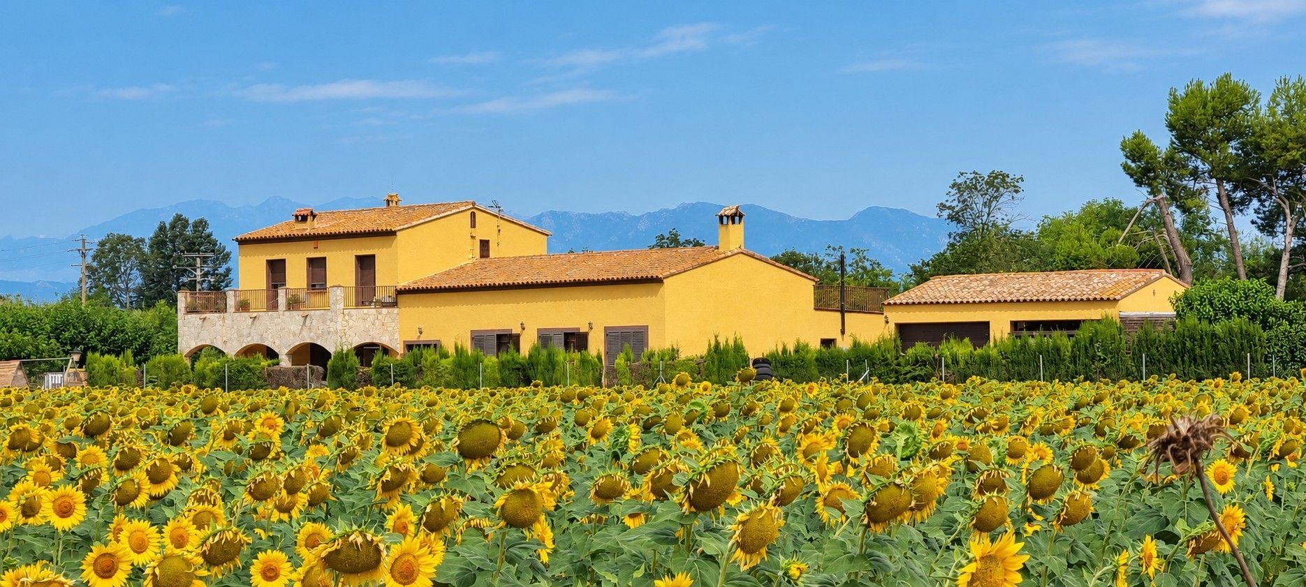 Un edificio amarillo con múltiples ventanas y un jardín de girasoles.