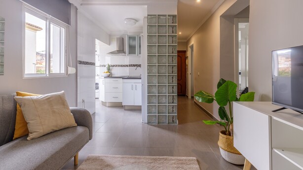 Una sala moderna con un sofá gris, un televisor de pantalla plana, una planta verde grande y una cocina al fondo.