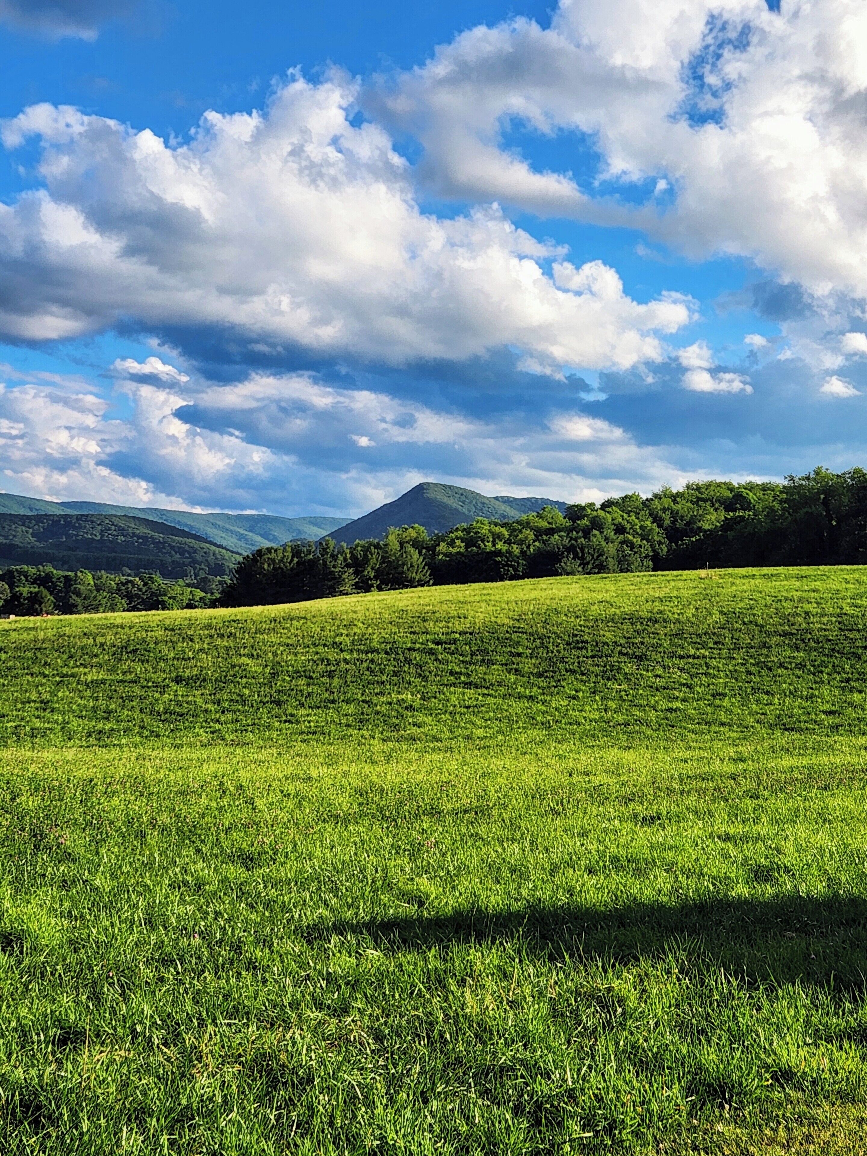 A green field with a mountain in the background and a partly cloudy sky.