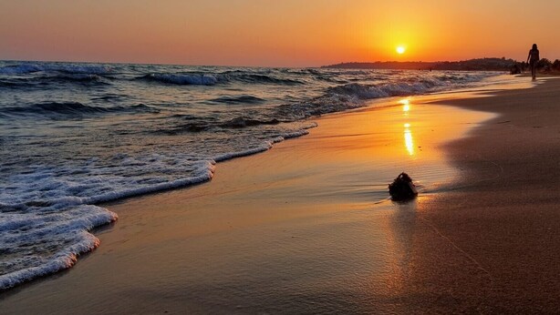Una platja al capvespre amb onades, una persona caminant i un gos.