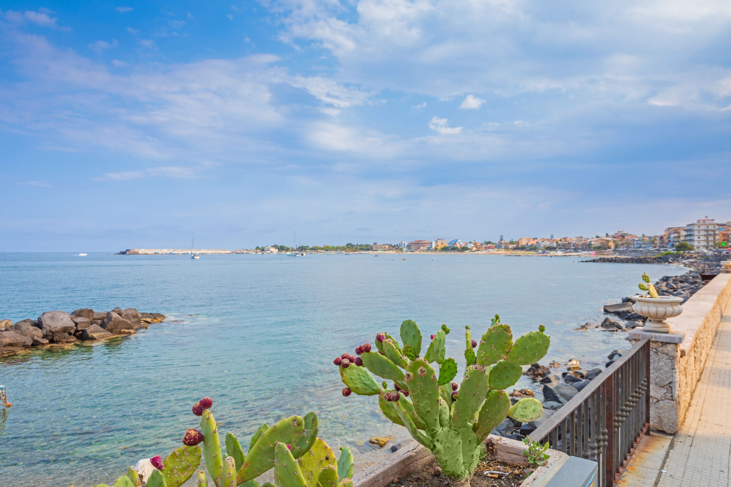 Vistas desde el alojamiento