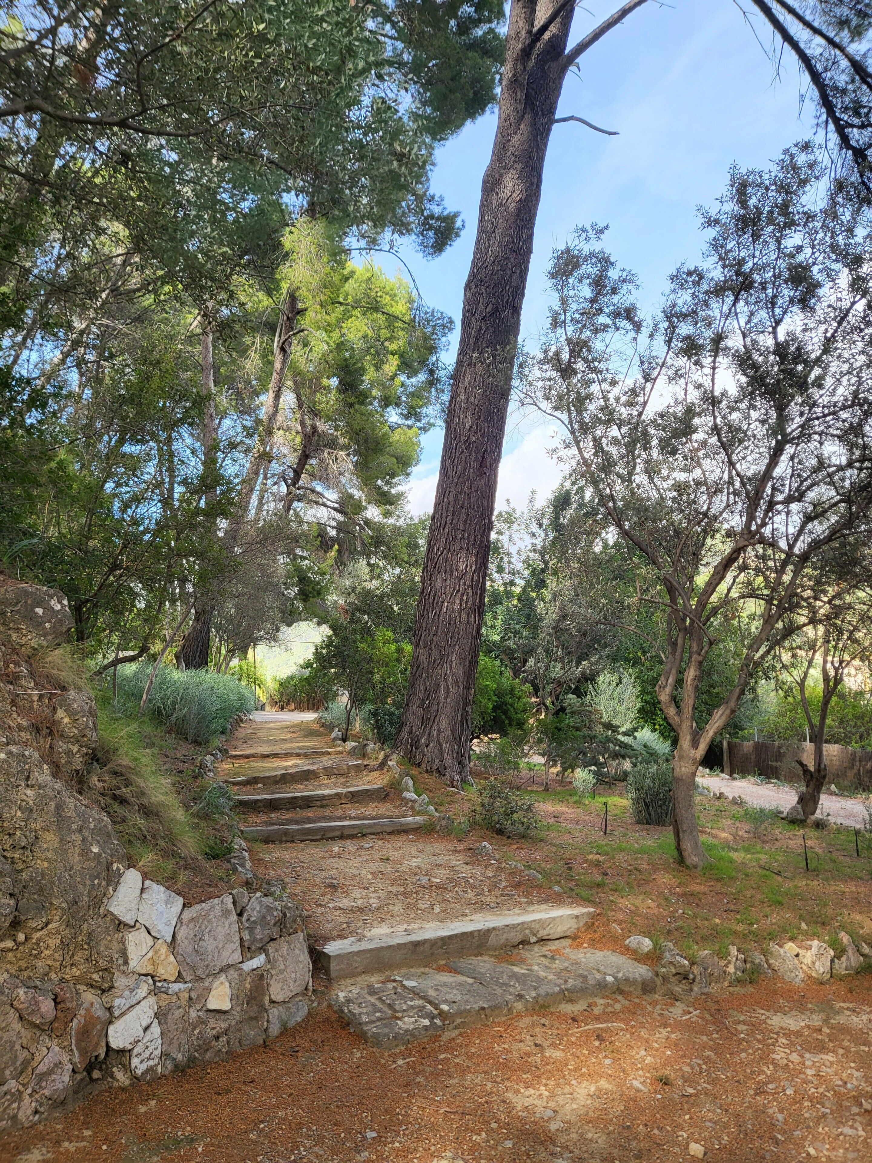 Jardines del alojamiento