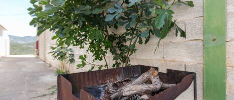 Un brasero metálico con leña y piñas, rodeado por un muro de ladrillo y una puerta verde.