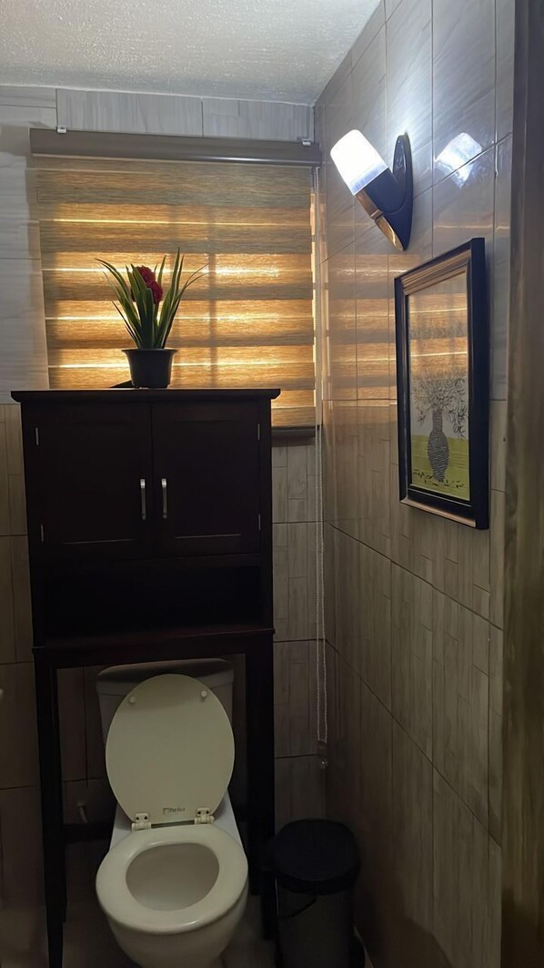 A bathroom with a toilet, a cabinet, a potted plant, a framed picture, and a wall-mounted light fixture.