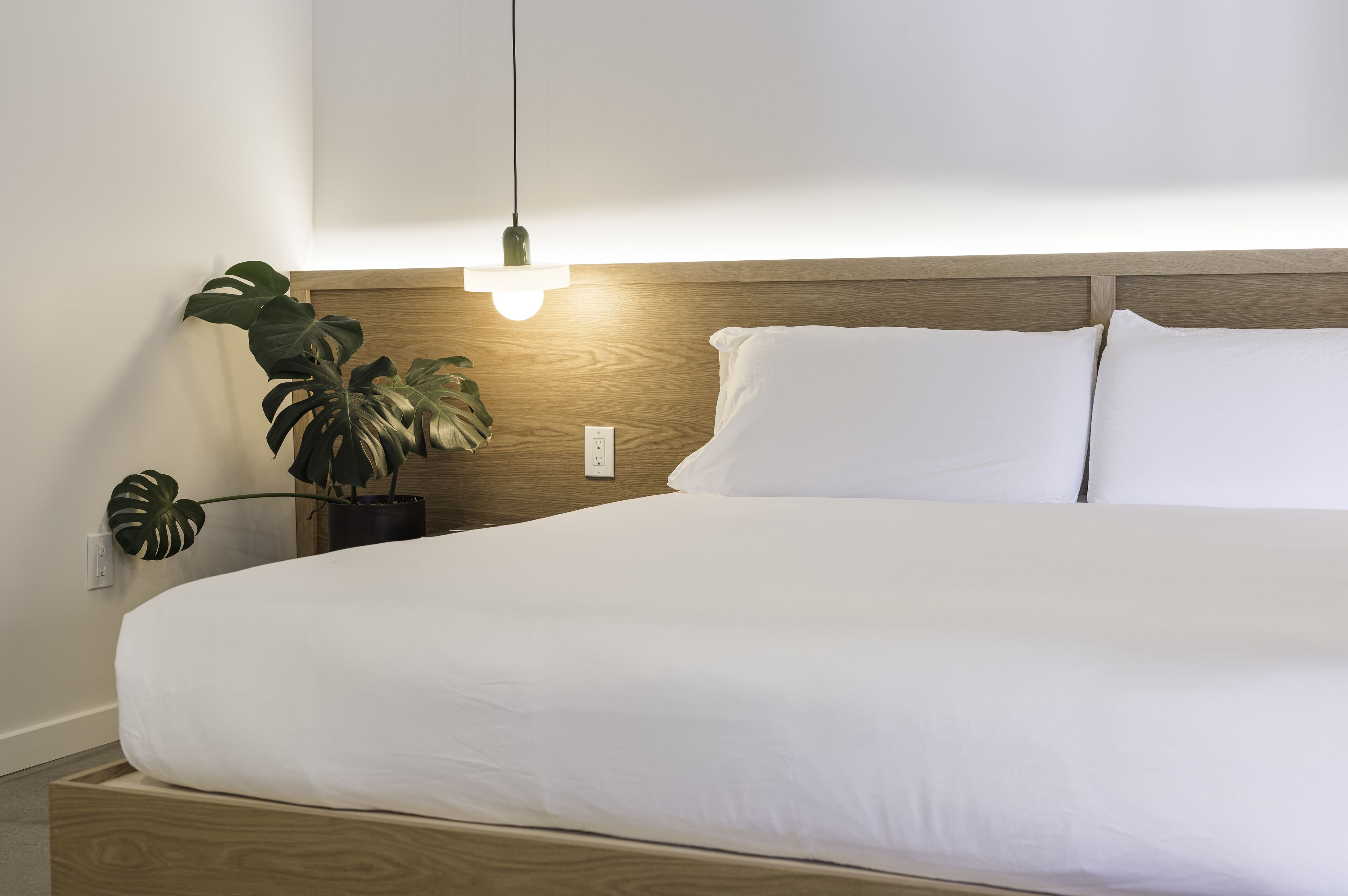 Photo - Best Bet Motor Lodge