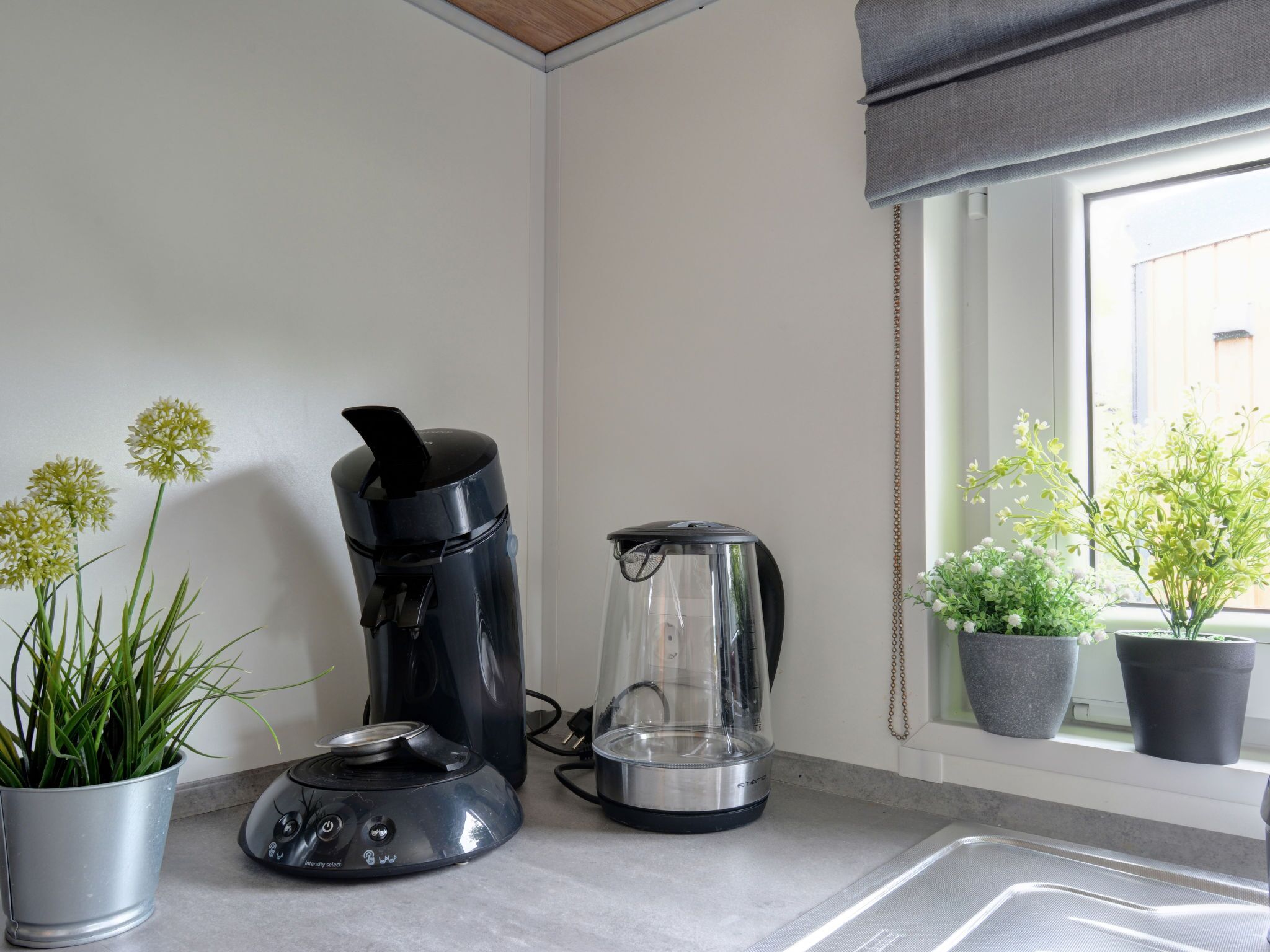 Une cuisine équipée d’une machine à café, d’une bouilloire et de plantes en pot.