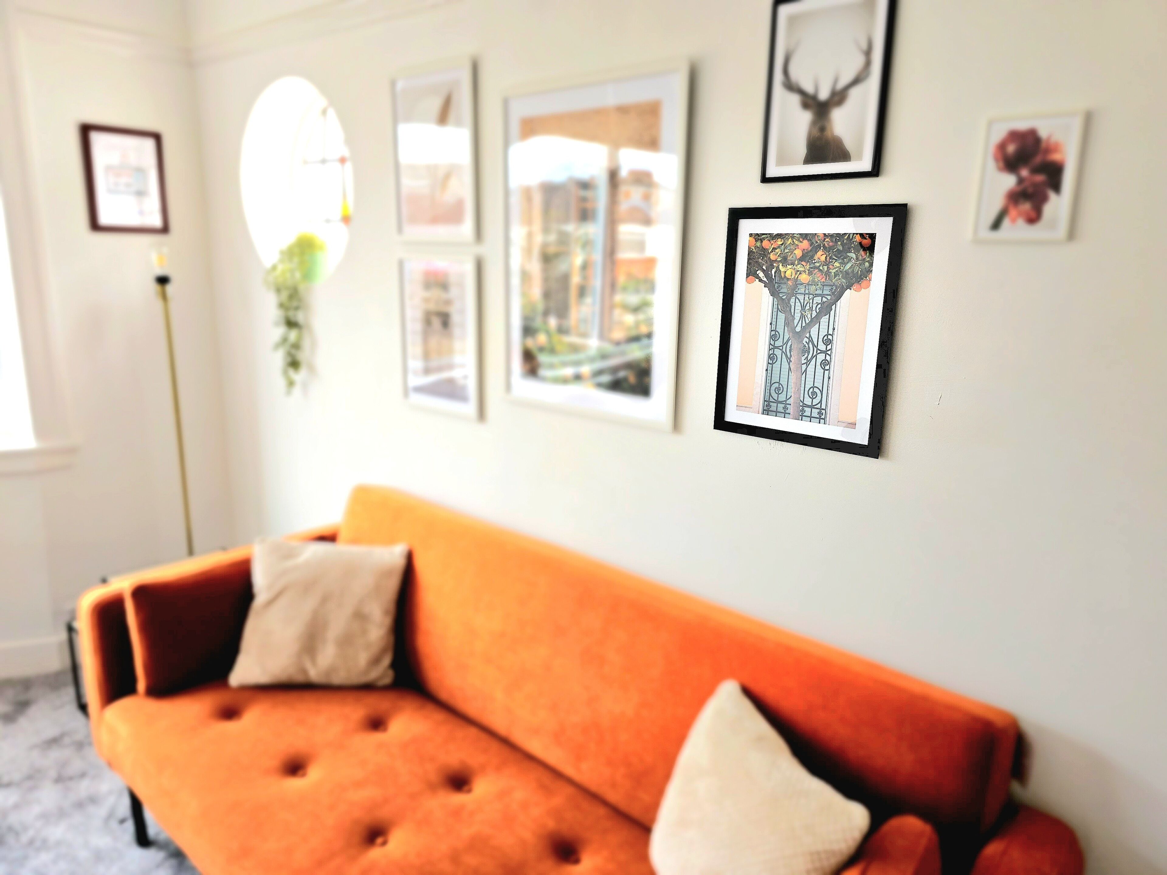 A room with a sofa, framed artwork on the wall, and a plant.