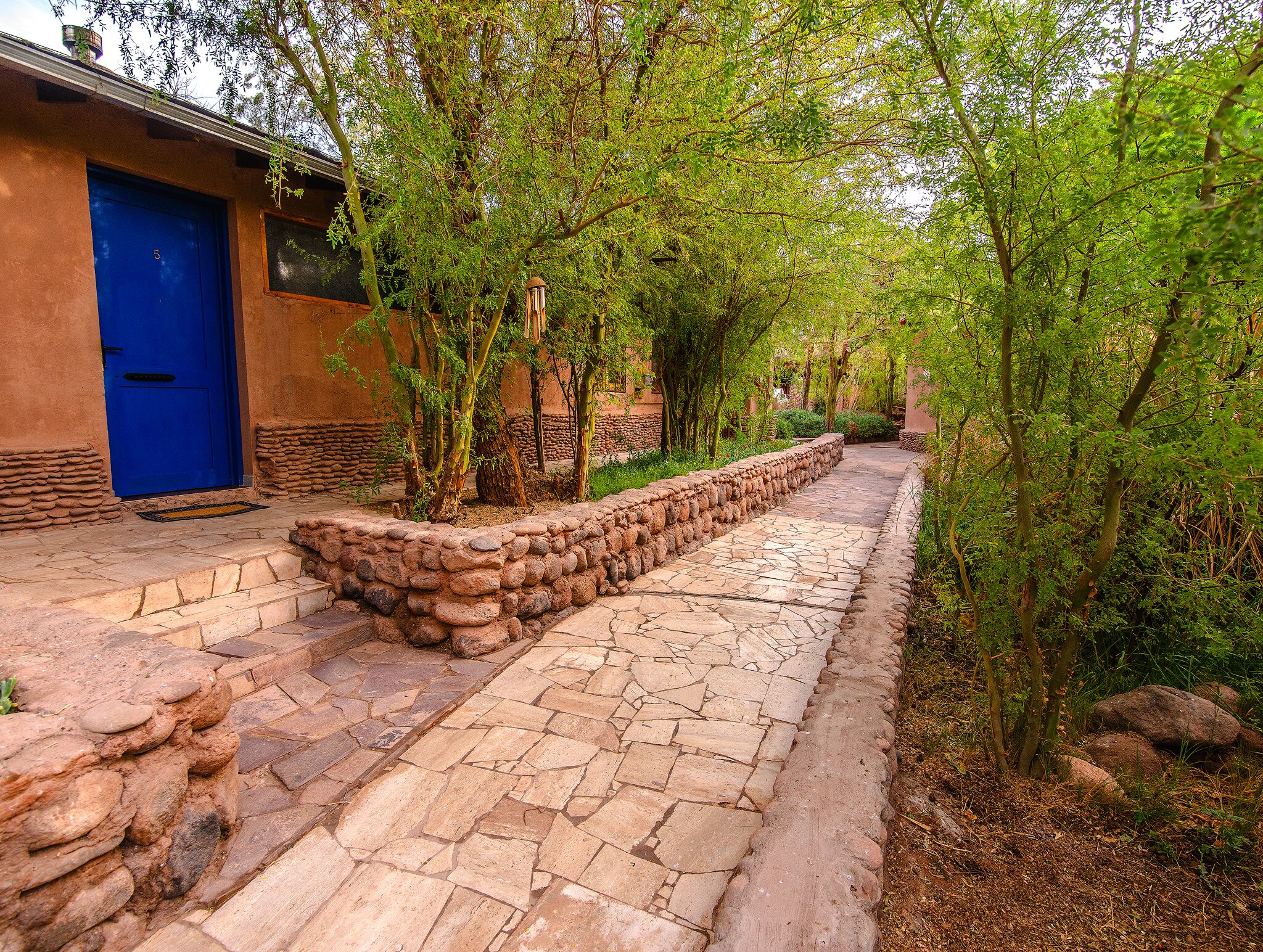 Un sendero de piedra que conduce a un edificio con una puerta azul, rodeado de follaje y muros de piedra.