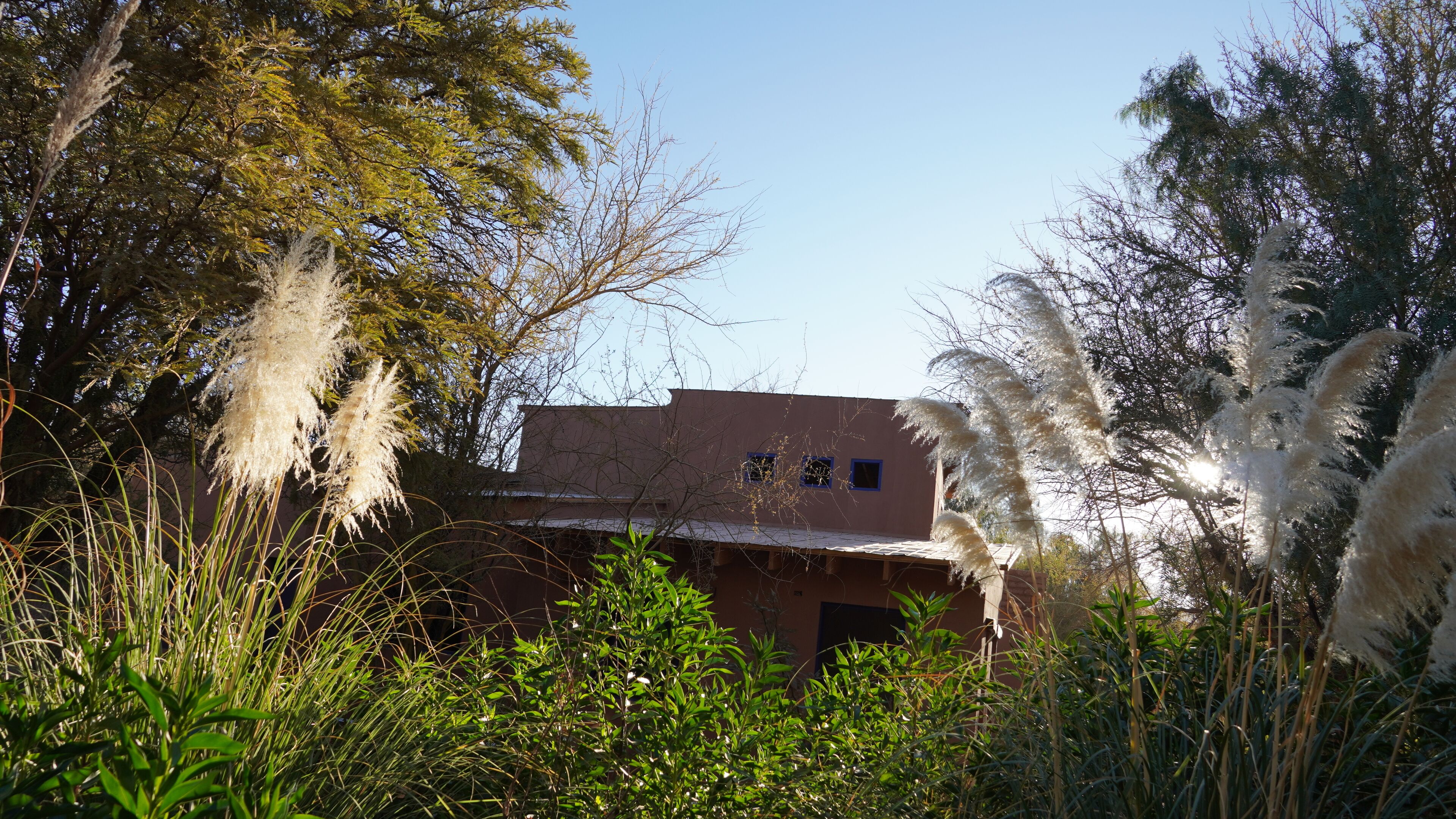 A building with a flat roof and two visible windows, surrounded by dense vegetation and tall grasses.
