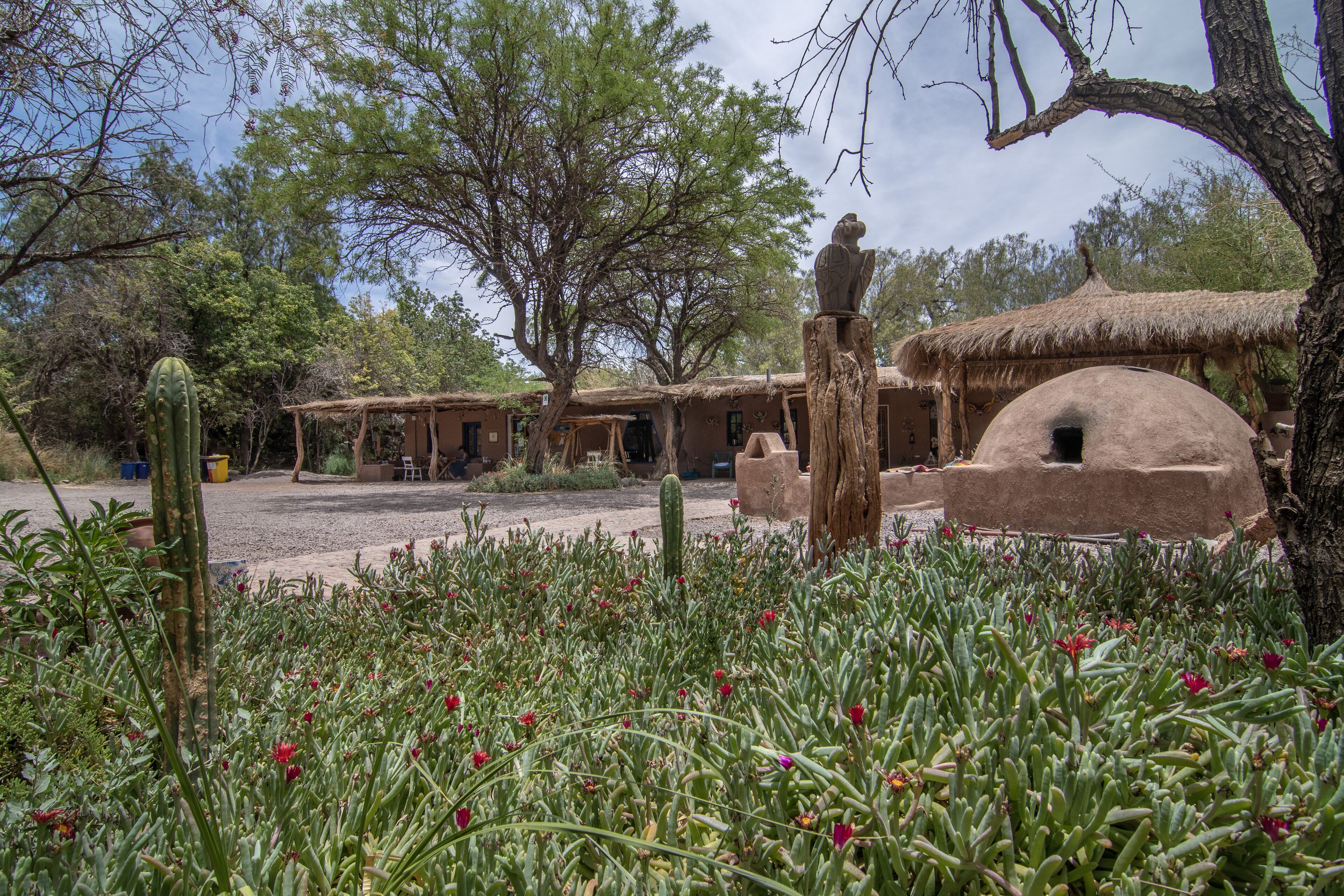 A traditional adobe building with a thatched roof, surrounded by cacti and flowering plants.