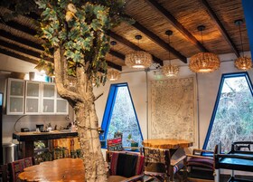Un interior acogedor con un gran árbol, techo de madera y un mapa de la Patagonia.
