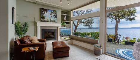 Smart TV, fireplace, books