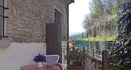 Ca' Filetto No. 21