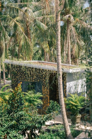 Exterior - Homestay Bao Binh (Ben Tre)